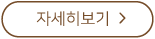 축제 프로그램