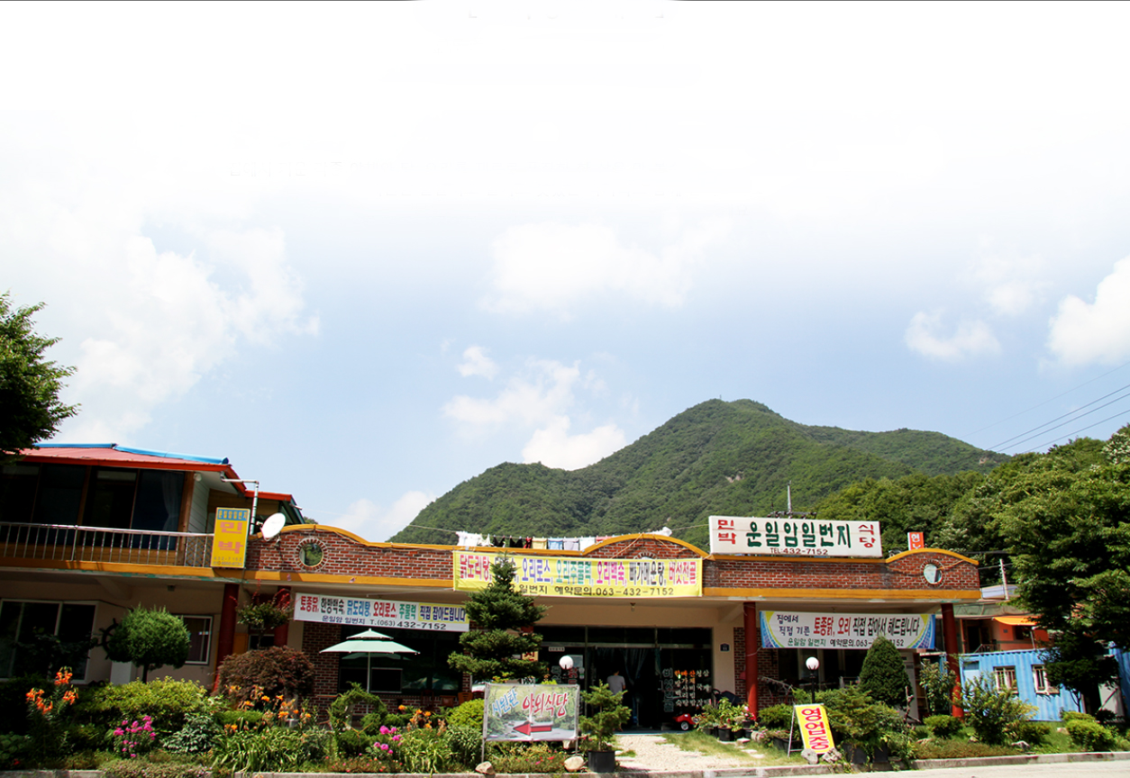 진안홍삼축제
