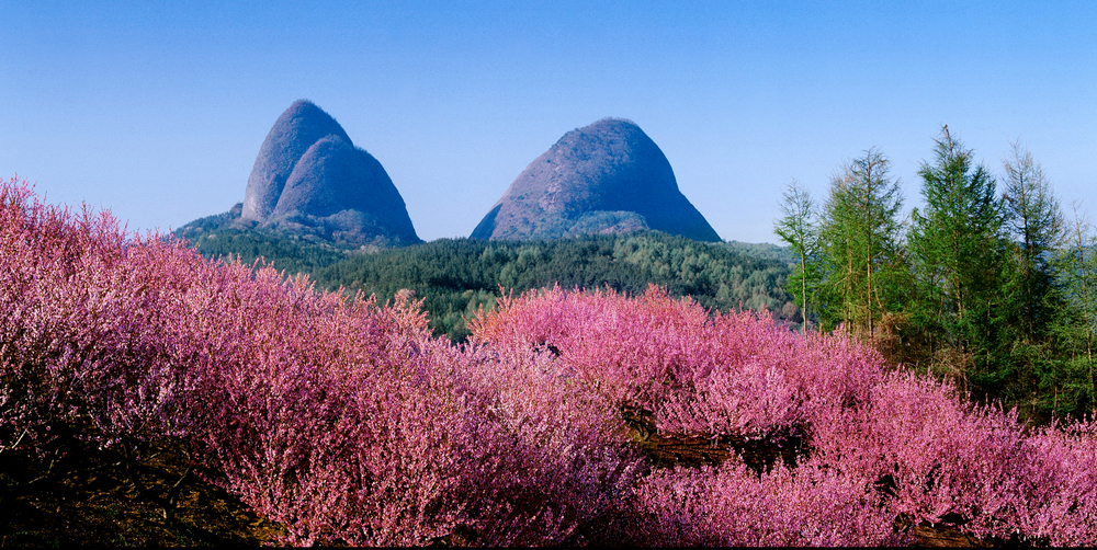 가족과 함께 가는 진안 봄 당일치기 여행