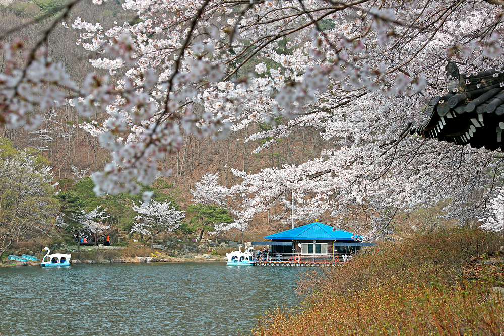 친구, 연인과 함께 가는 진안 봄 당일치기 여행