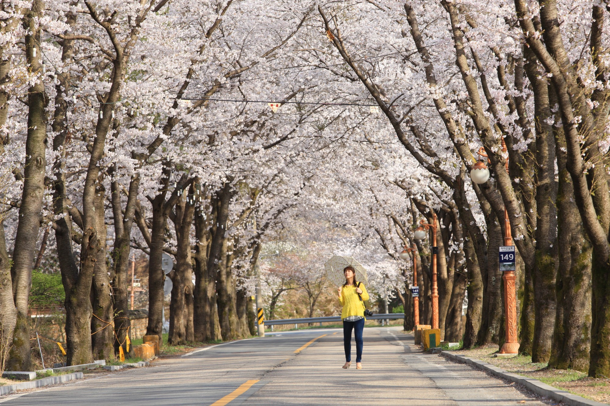홀로 떠다는 진안 봄 당일치기 여행
