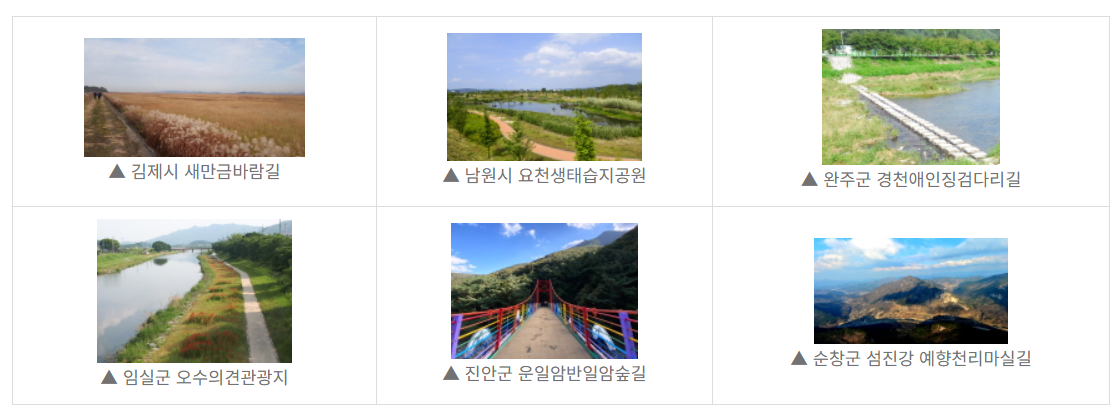 [사진자료] 반려견과 함께 우선 안심 걷는 길 '눈치보지 마시개 길(가칭)'