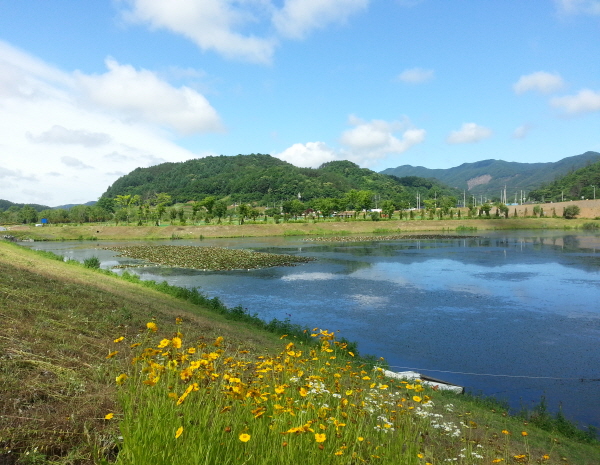 thumbnail||1000::667