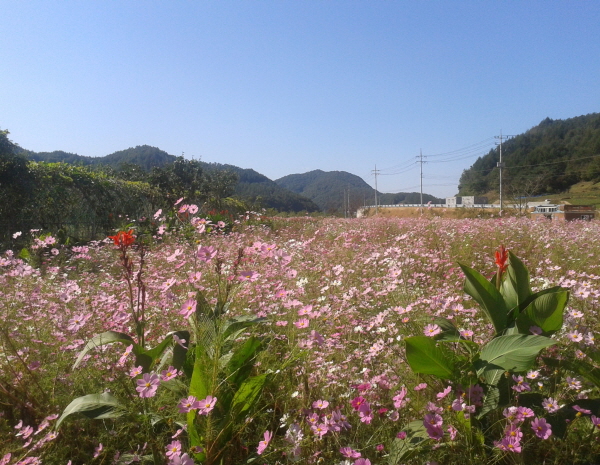 thumbnail||1000::667