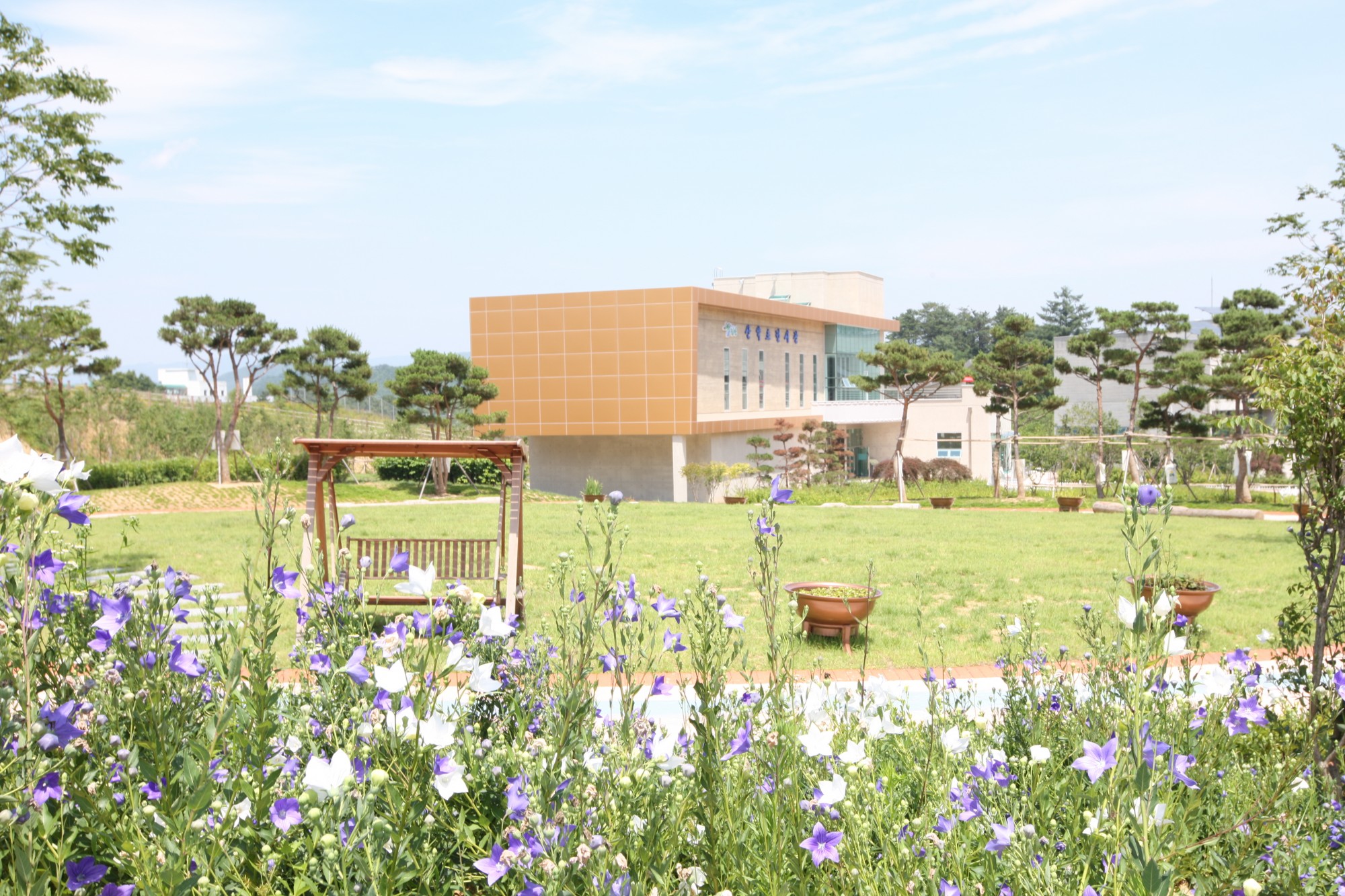 thumbnail||1000::667