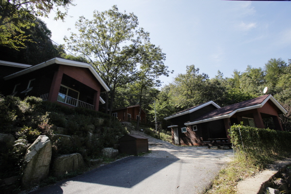 thumbnail||1000::667