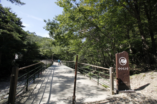 thumbnail||1000::667