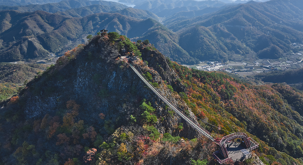 thumbnail||1000::667