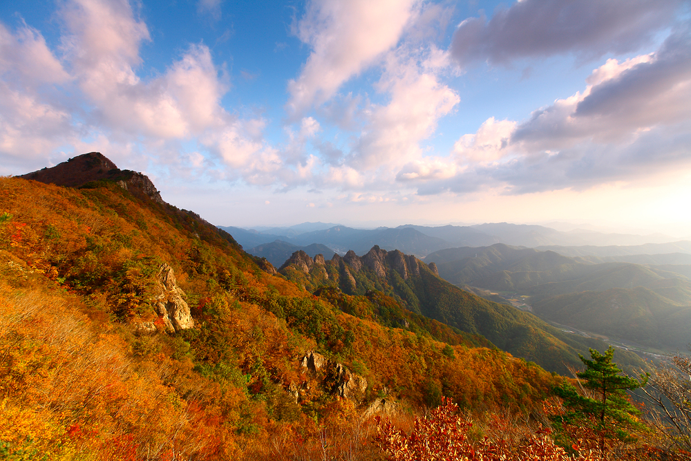 thumbnail||1000::667