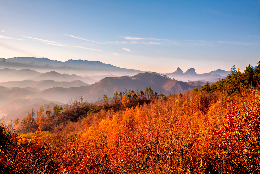 thumbnail||1000::667