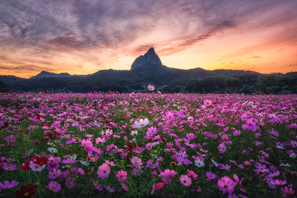 thumbnail||1000::667