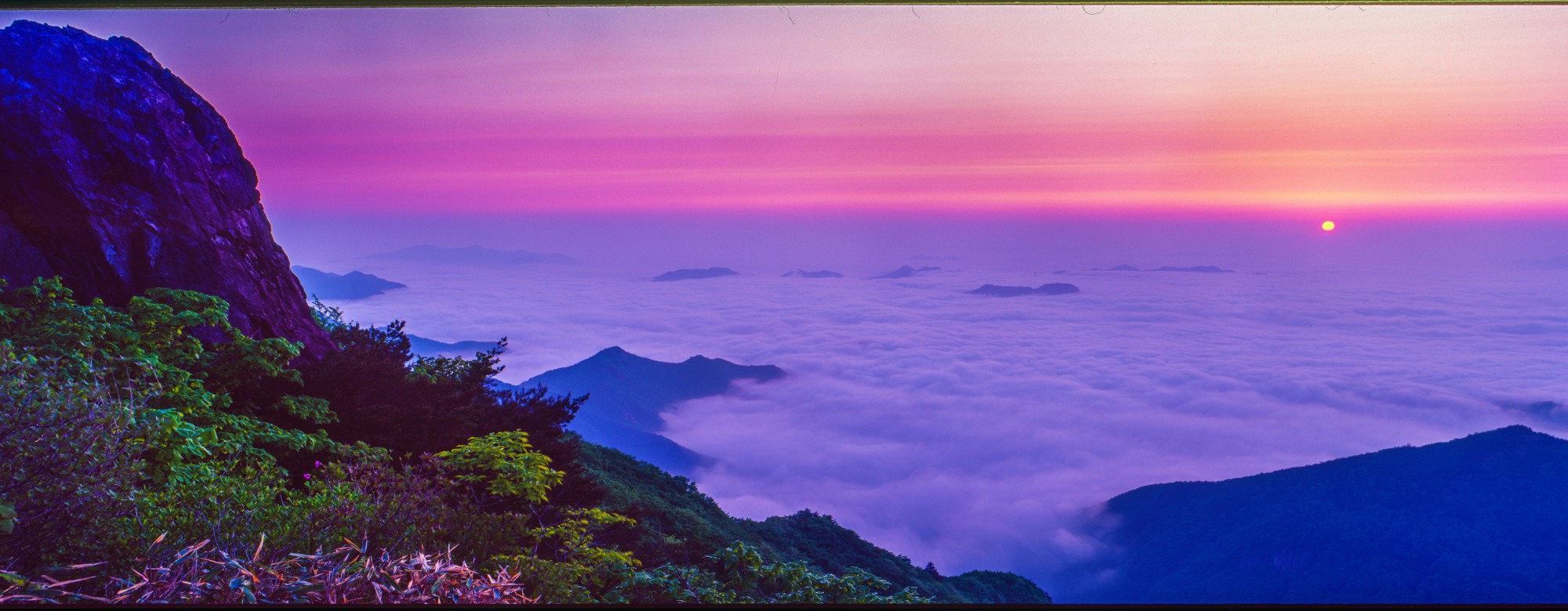 thumbnail||1000::667