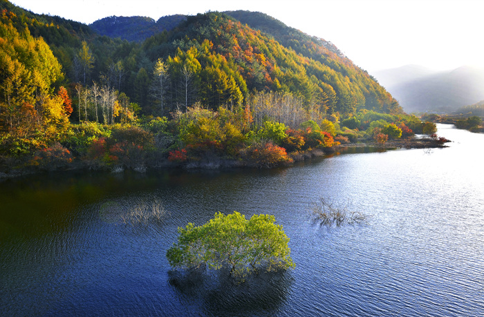 thumbnail||1000::667