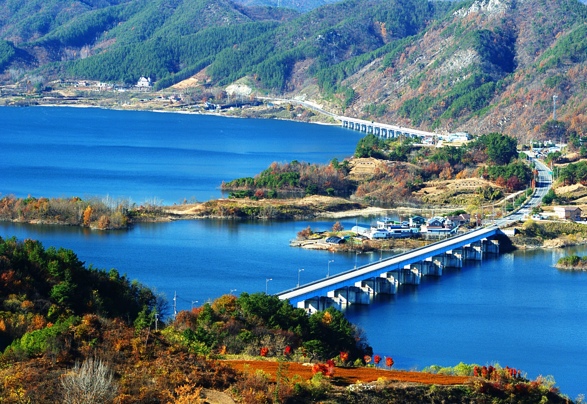 thumbnail||1000::667