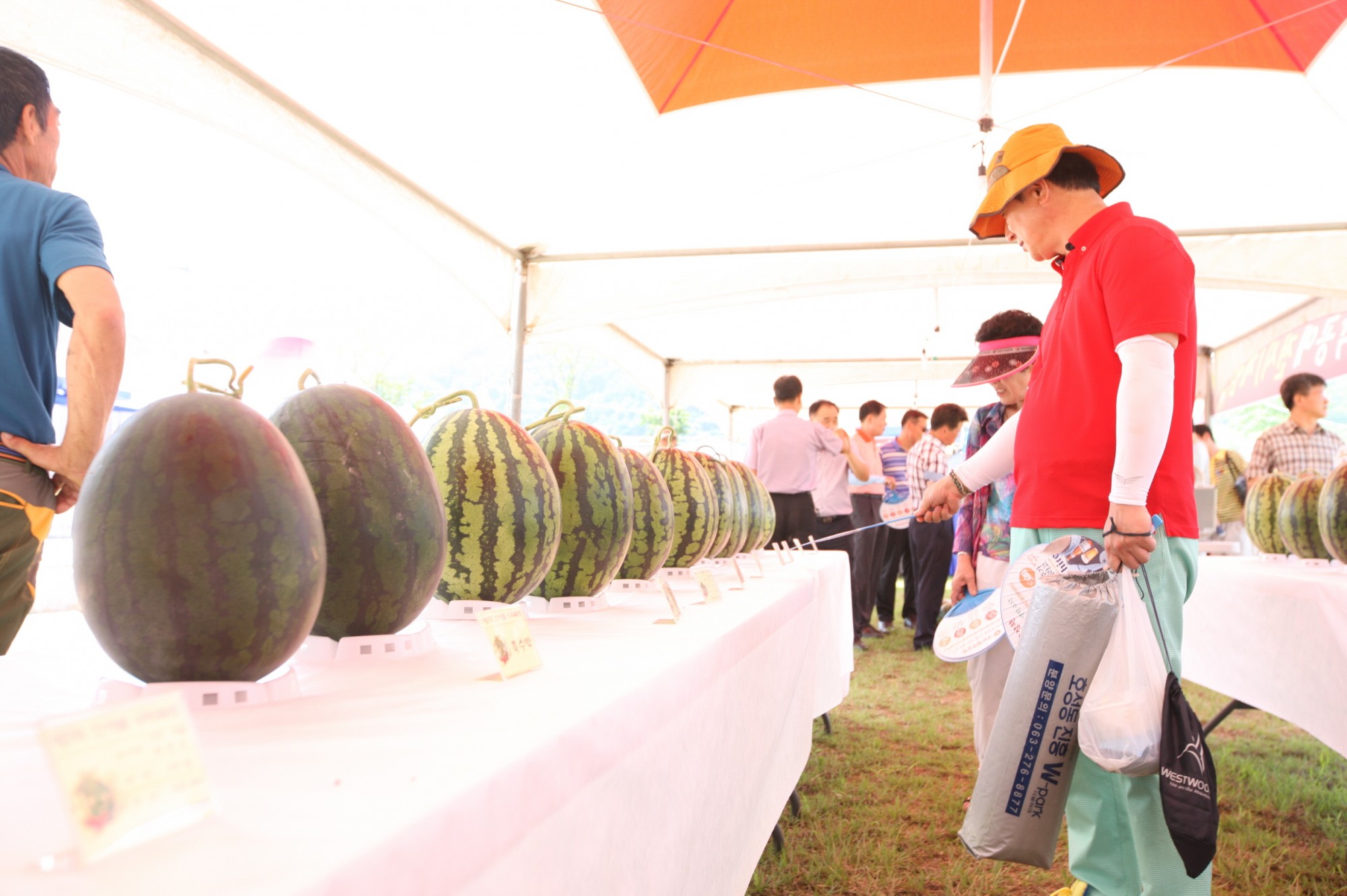 전북 진안의 뜨거운 여름을 시원하게 적셔주는 진안 수박축제!높은 일교차와 청정 자연에서 자란 동향 수박을 중심으로, 물놀이·체험·공연·전시가 한자리에 펼쳐지는 가족형 여름 대표 축제입니다.달콤한 수박 맛은 물론, 신나는 물놀이장과 다양한 체험 프로그램까지 남녀노소 누구나 즐길 수 있는 ‘진안 여름 놀이터’가 열립니다. - 축세시기: 매년 여름(7월~8월) - 홈페이지: https://www.jinansubak.kr/ - 장소: 진안군 동향면 체련공원 일대