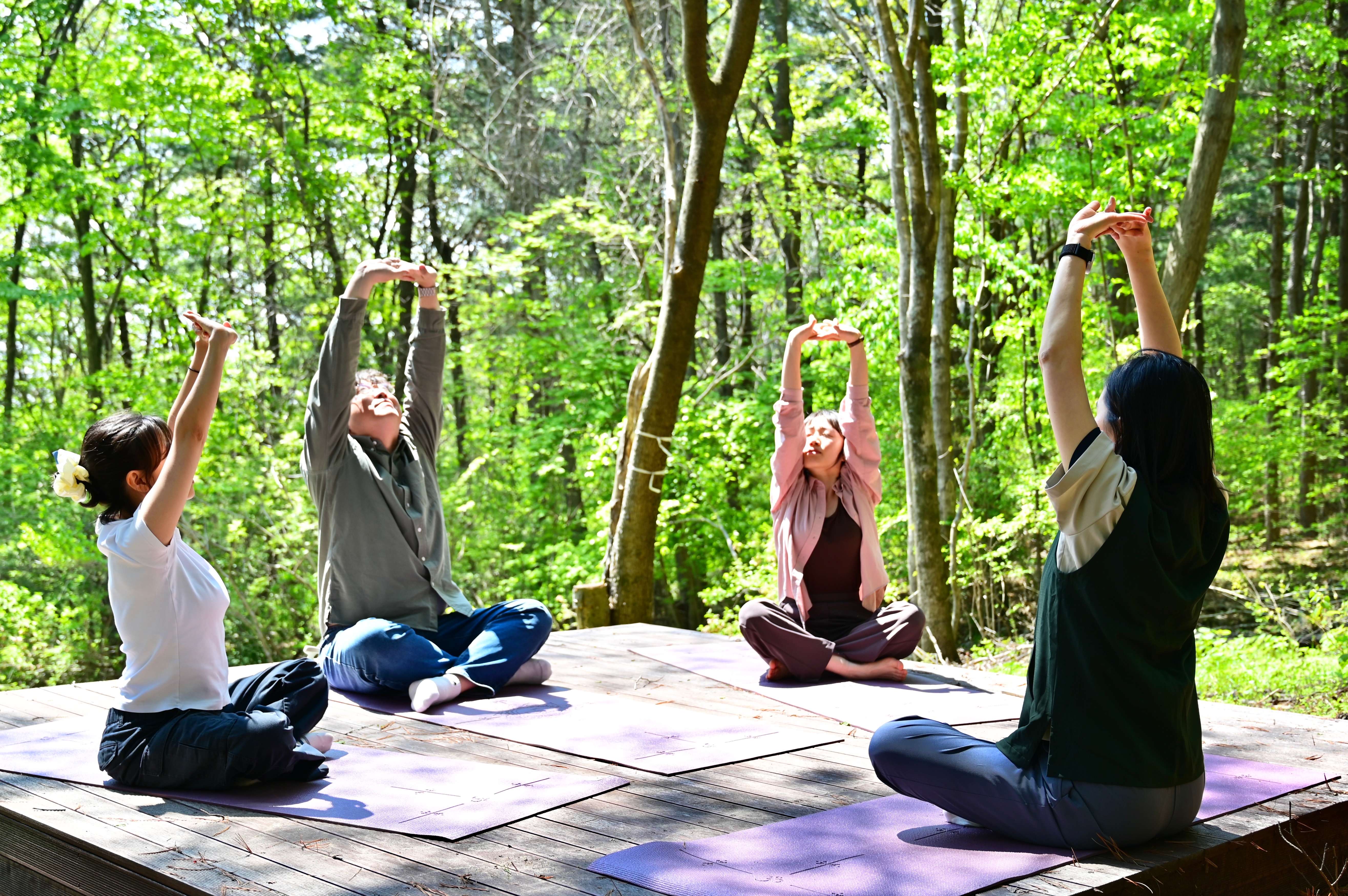 숲의 공기 속에서 즐기는 명상 요가.호흡과 동작을 통해 몸과 마음을 차분히 가라앉히는 자연 치유 프로그램입니다.
