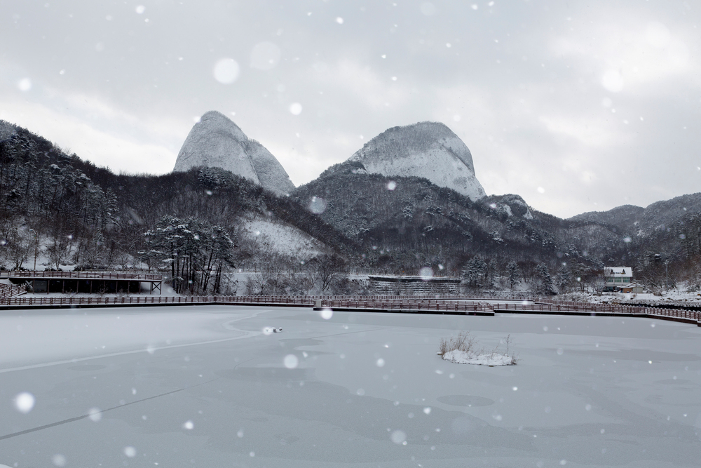 사양제 생태공원의 겨울