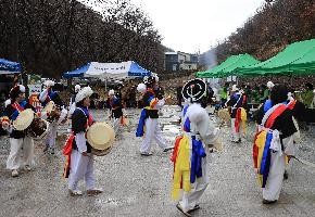 진안군 부귀면 노루목재 벚꽃과 차의 심쿵한 만남 축제 이미지