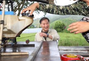 벼 병해충 공동방재 현장방문-진안읍