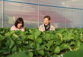 진안군, 부귀면 딸기·샤인머스캣 농가 방문으로 현장행정 추진