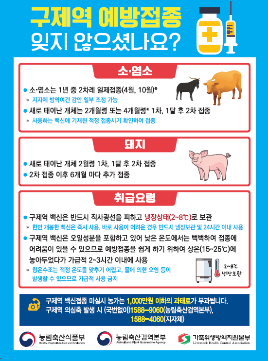 올바른 구제역 예방 접종 이미지(1)