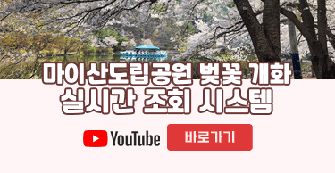 마이산도립공원 벚꽃 개화 실시간 조회 시스템
유튜브 바로가기