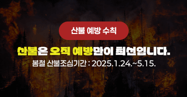 산불 예방 수칙

산불은 오직 예방만이 최선입니다.

봄철 산불조심기간 : 2025.1.24.~5.15.